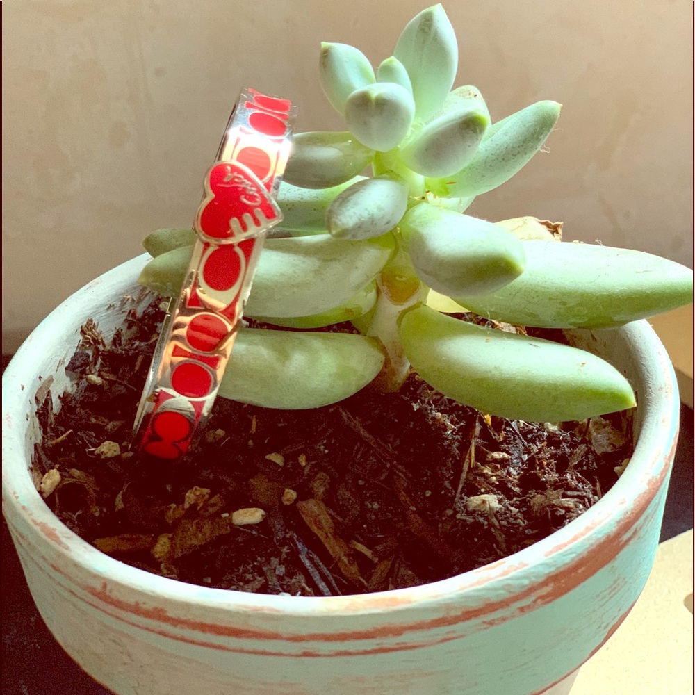 Coach Bracelet